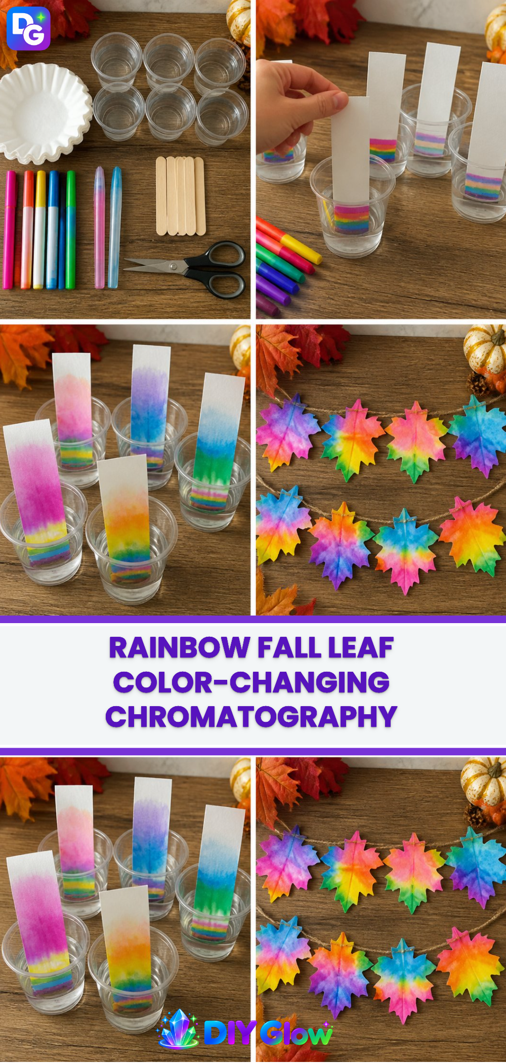 Rainbow Fall Leaf Color-Changing Chromatography